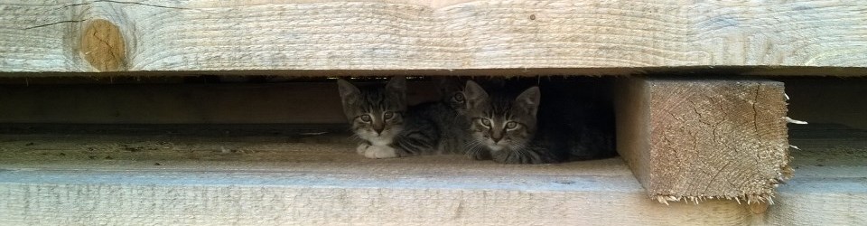 CELODŘEVĚNÉ SPOJE