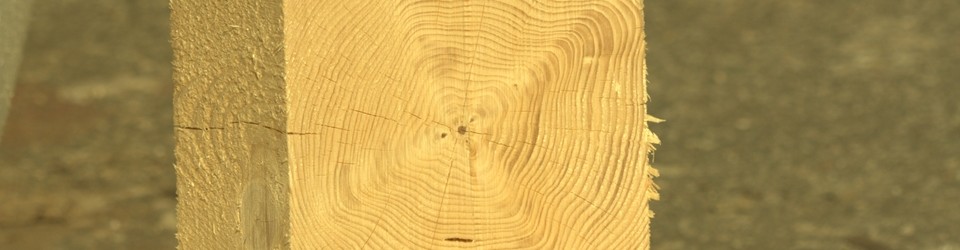 CELODŘEVĚNÉ SPOJE